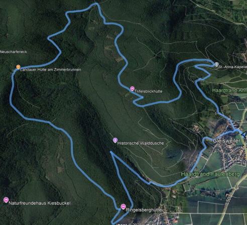 Gelaufene Strecke, Bild aus Google Earth